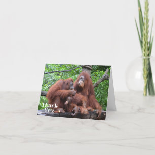Breakfast with the Orangutans Funny Tack Kort
