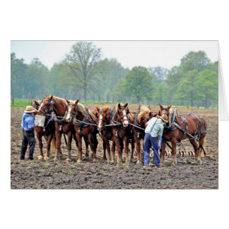 Breaktime Hälsningskort