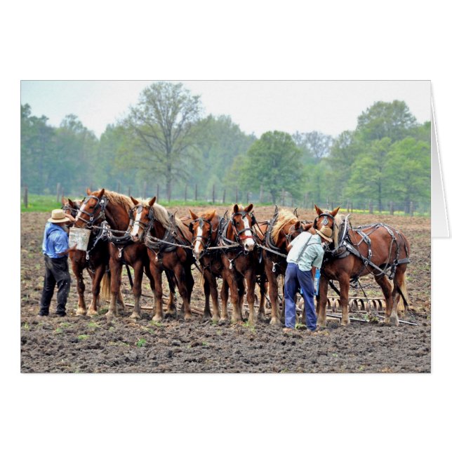 Breaktime Hälsningskort (Framsidan Horizontal)