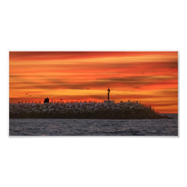 Breakwall with Pelicans - Marina Del Rey, CA Fototryck (Framsidan)