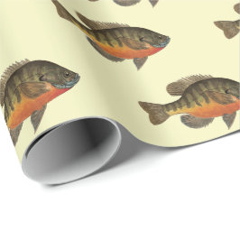 Bream, Bluegill Presentpapper