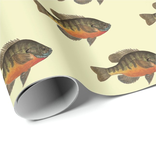 Bream, Bluegill Presentpapper (Rullad Hörn)