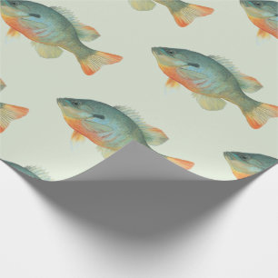 Bream Bluegill Sunfish Perch Fish Gift Presentpapper