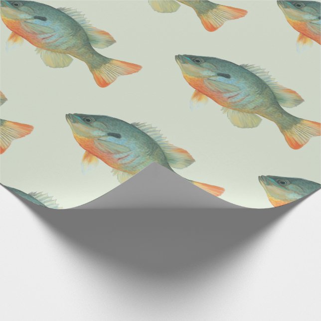 Bream Bluegill Sunfish Perch Fish Gift Presentpapper (Hörn)