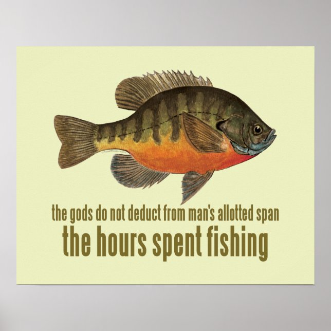 Bream Fishing Poster (Framsidan)