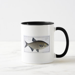 Breamen (CyprinusBrama) pläterar XIII från Mugg