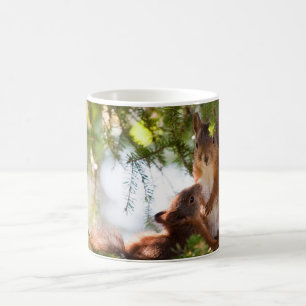 Breastfeeding ekorre kaffemugg