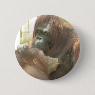 Breastfeeding för Orangutan Knapp