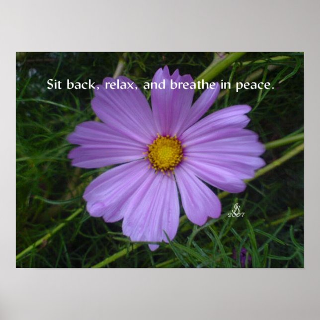 Breathe in Peace Poster (Framsidan)