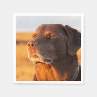 Breathe, Just Breathe Dog Napkins Pappersservett
