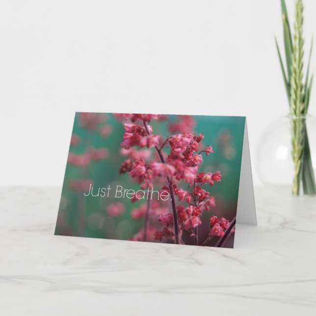 Breathe-offert Kort (Framsida)