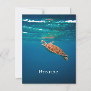 Breathe Turtle   Havssköldpadda   Oceanen Älskare Inbjudningar