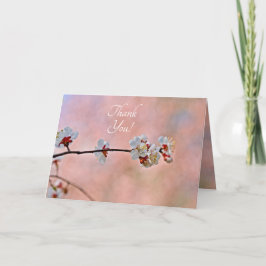 Breathtake Japansk Apricot Flowers Tack Kort