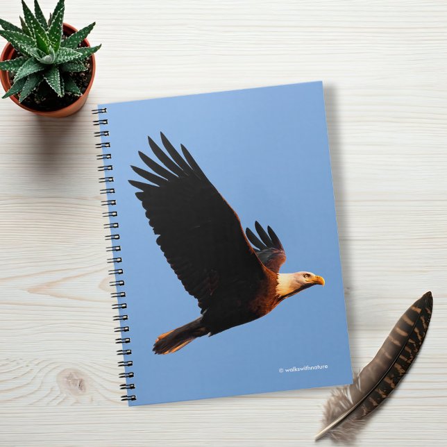 Breathtake Örn i Winter Sunset Flight Anteckningsbok (Breathtaking Bald Eagle in Winter Sunset Flight Journal Cover Photo)