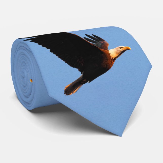 Breathtake Örn i Winter Sunset Flight Slips (Rullad)