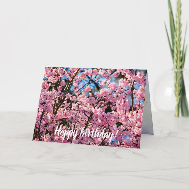 Breathtake Sakura Träd i Rosa Bloom i Vår Kort (Framsida)
