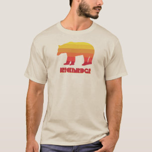 Breckenridge Colorado Rainbow Bear T Shirt
