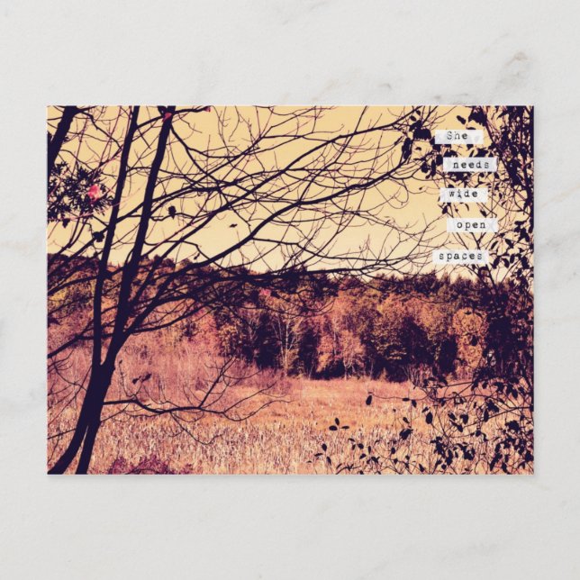 Bred Open Spaces II-vykort Vykort (Framsida)