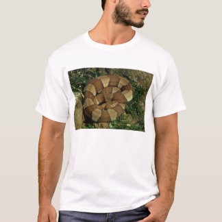 bred-satt band sydstatssympatisörormmanar t shirt