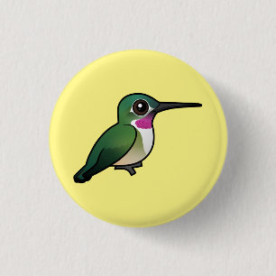 Bred-tailed Hummingbird Knapp