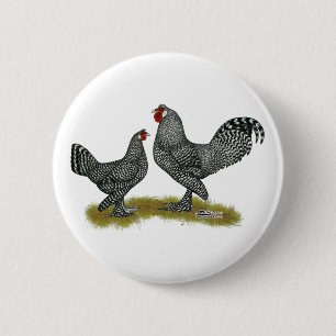 Breda Chickens Cuckoo Knapp