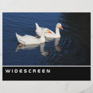 Bredbild - Emden-gäss Reklamblad