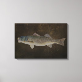 BREDDA MOUTH BASS WRAPPED CANVAS