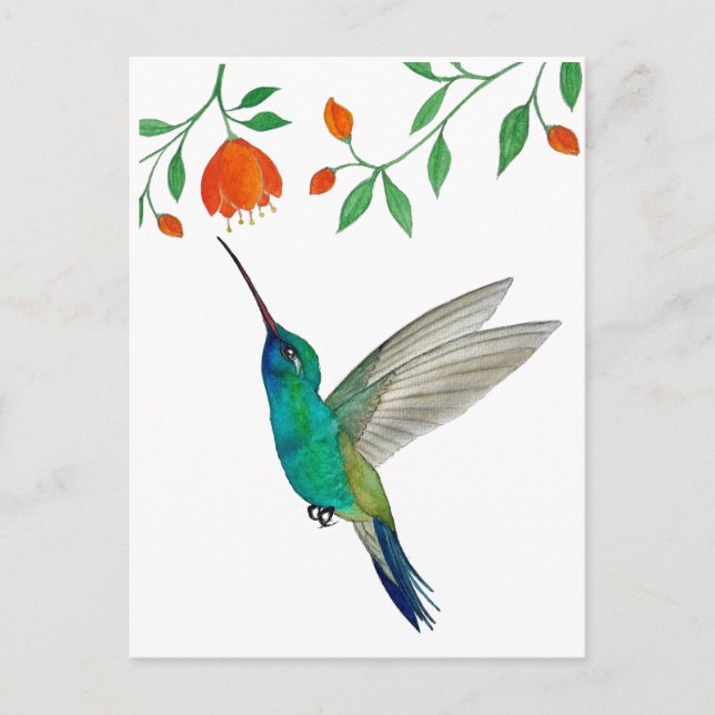 Brednäbbad kolibri vykort (Framsida)