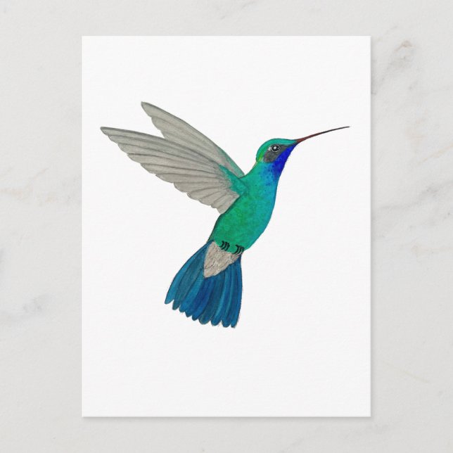 Brednäbbad kolibri vykort (Framsida)