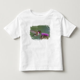 Bredstjärtad kolibri, Selasphorus T-shirt