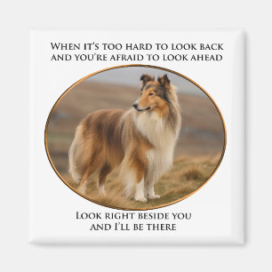 bredvid dig Collie Magnet