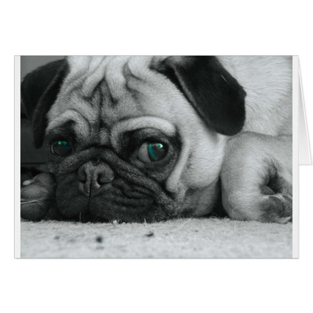 Breena pic hälsningskort (Framsidan Horizontal)