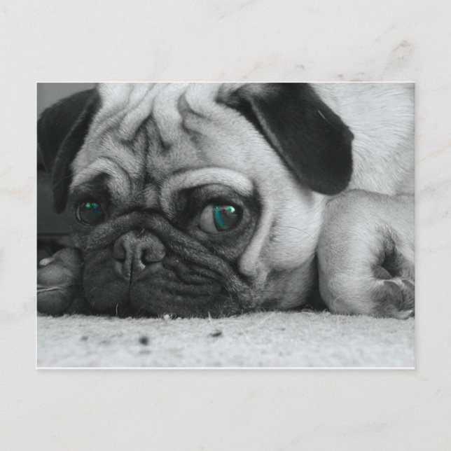 Breena pic vykort (Framsida)