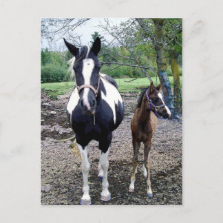 Breezie n Zura Vykort