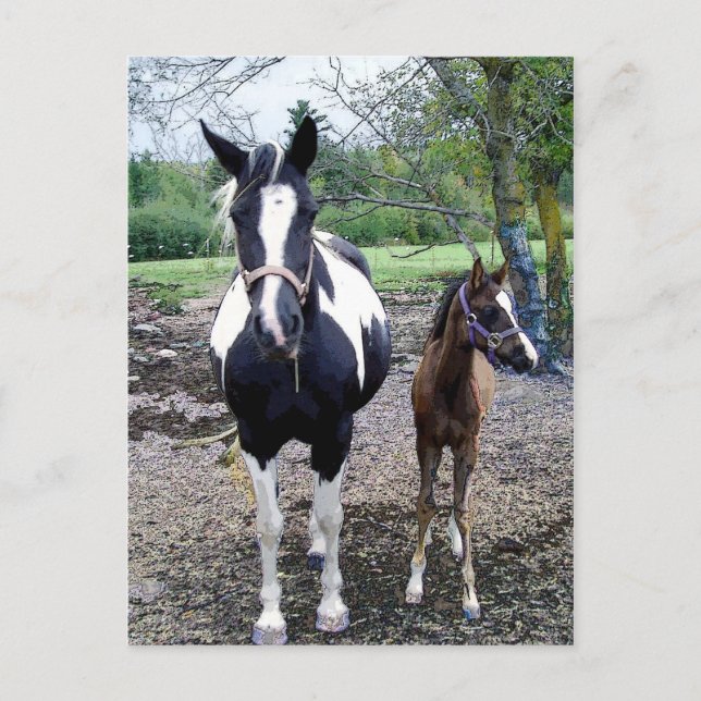 Breezie n Zura Vykort (Framsida)