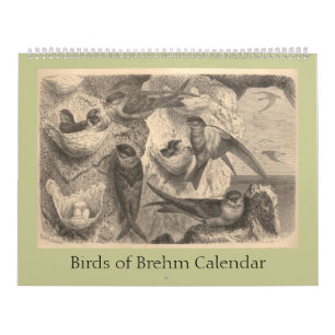 Brehms fåglar kalender