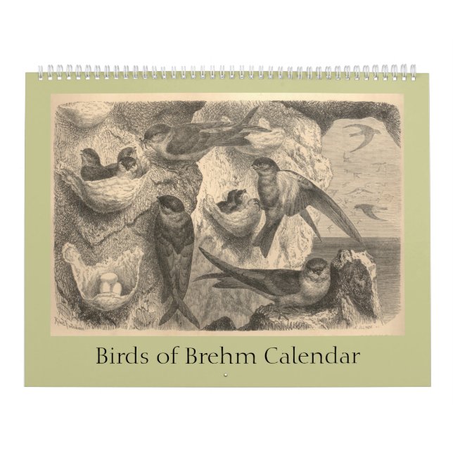 Brehms fåglar kalender (Omslag)