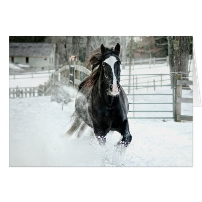 Brenda Lee rinnande vinter Hälsningskort (Framsidan Horizontal)