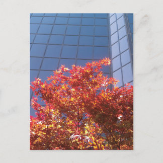 Brentwood Träd och glas Vykort