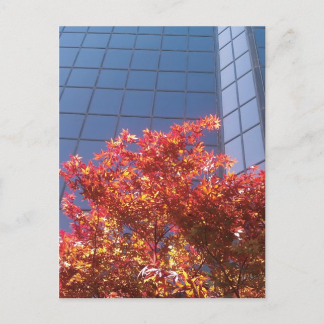 Brentwood Träd och glas Vykort (Framsida)