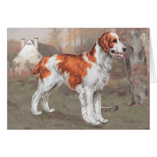 Bretagne i Fält Hälsningskort (Framsidan Horizontal)