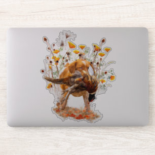 Bretagne spanel, jakt på Pheasant Sticker Klistermärken