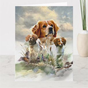 Bretagne spanjor, Fransk Bretagne, Bird hund Kort