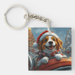 Bretagne Spanska Hund jul