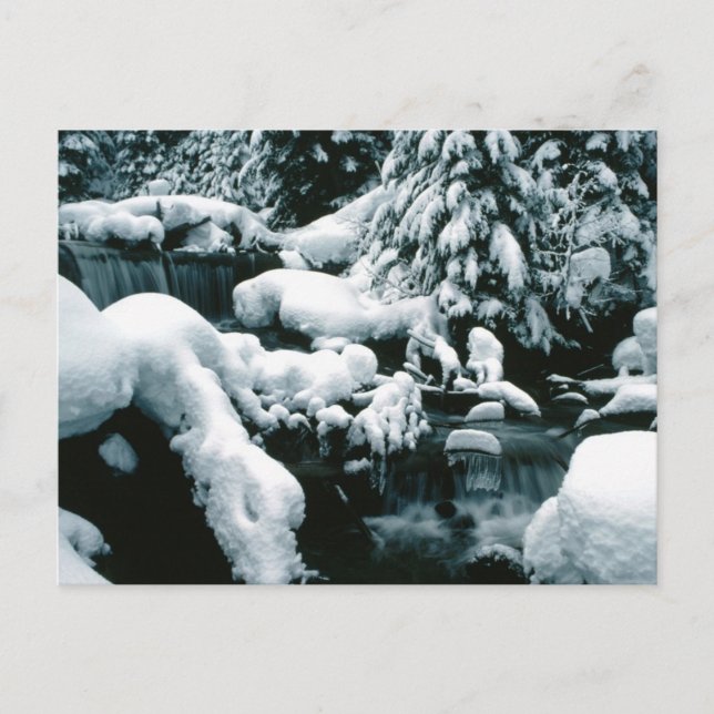 Bretagne Winter Scene Vykort (Framsida)