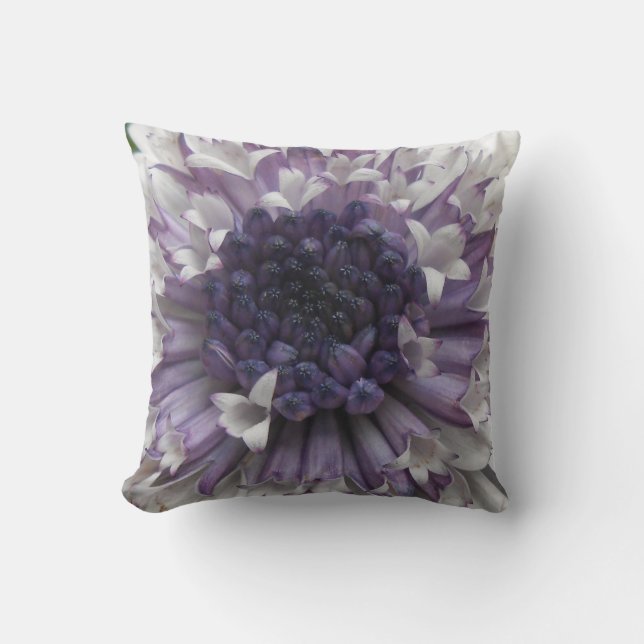 Brett Kudde (Framsida)