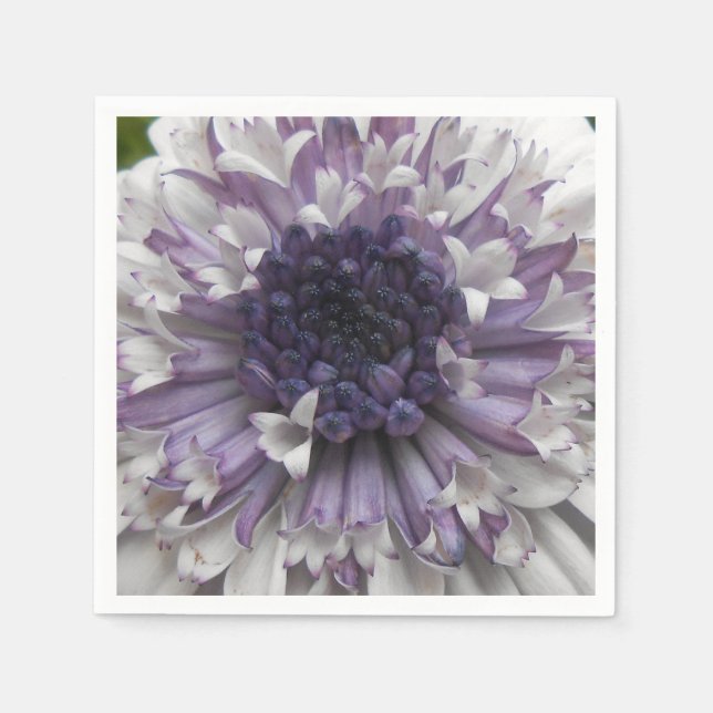 Brett Pappersservett (Framsidan)