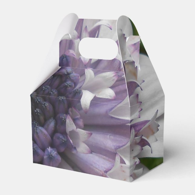 Brett Presentaskar (Framsidan Sidan)