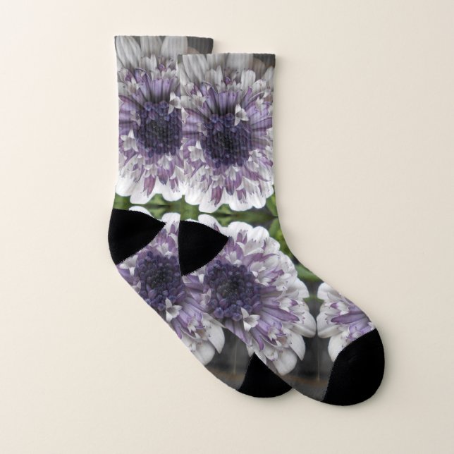 Brett Strumpor (Par)