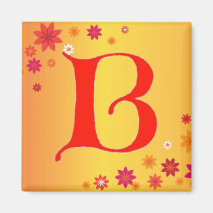 BREV B MAGNET